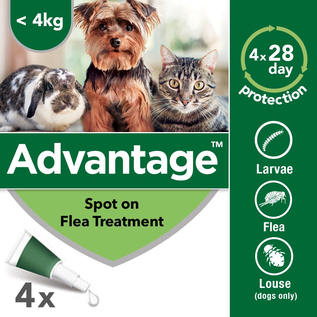 Advantage 40 Spot On Flea Control Small Dogs, Cats and Rabbits (<4kg) - 4Pack